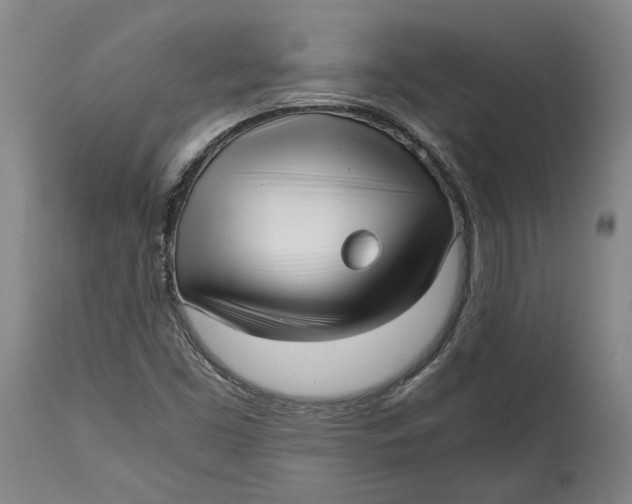X0000115081453200911171142