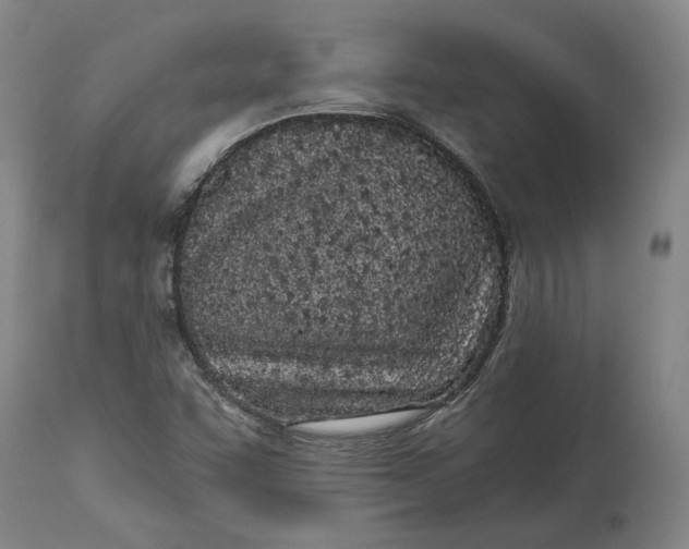X0000115081455200911171142
