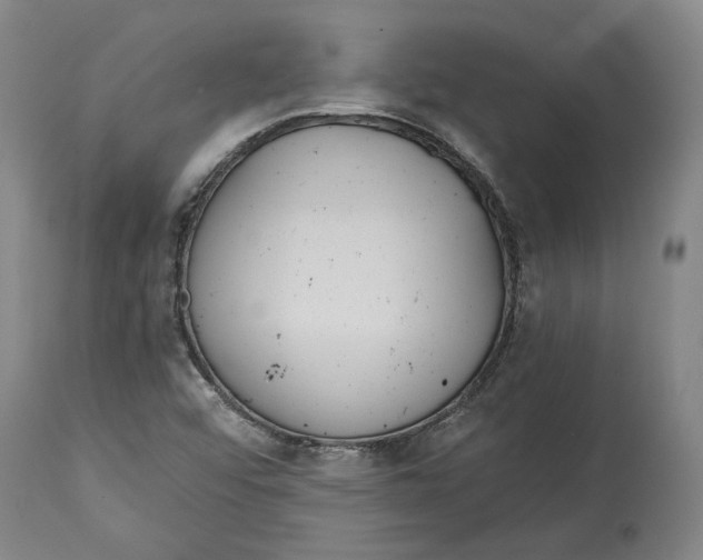 X0000115081456200911171142
