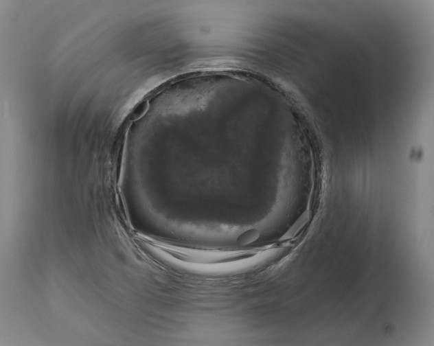 X0000115081457200911171142