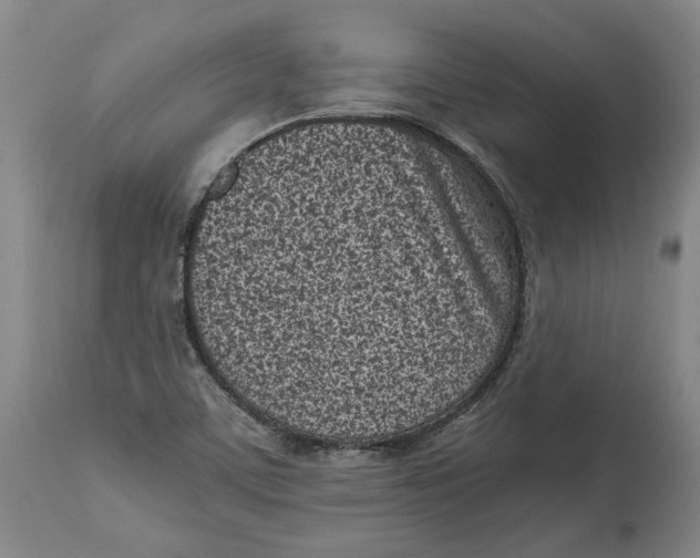 X0000115081459200911171142