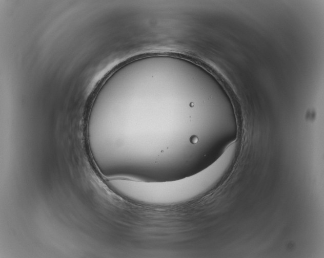 X0000115081460200911171142