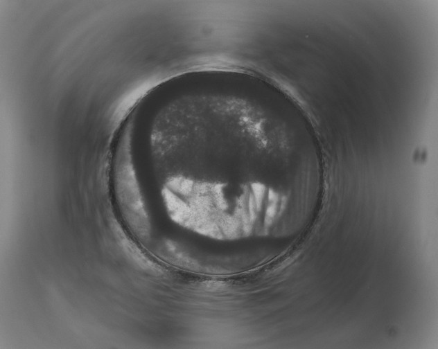 X0000115081463200911171142