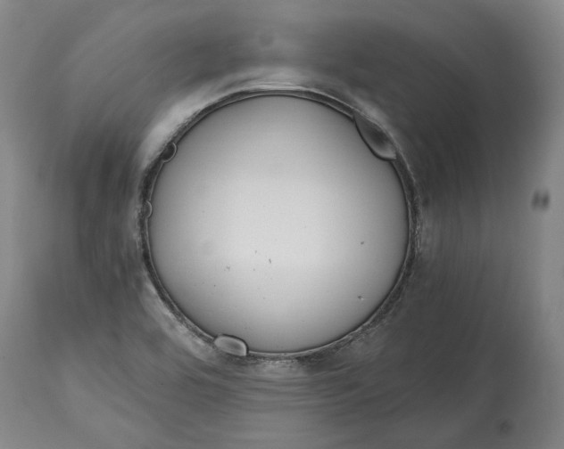 X0000115081464200911171142