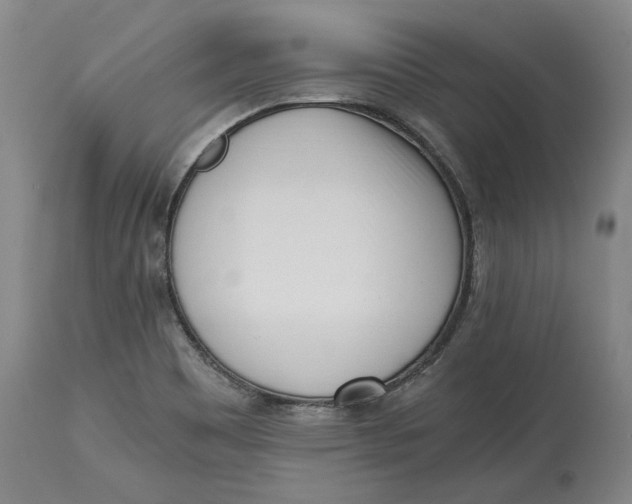 X0000115081465200911171142