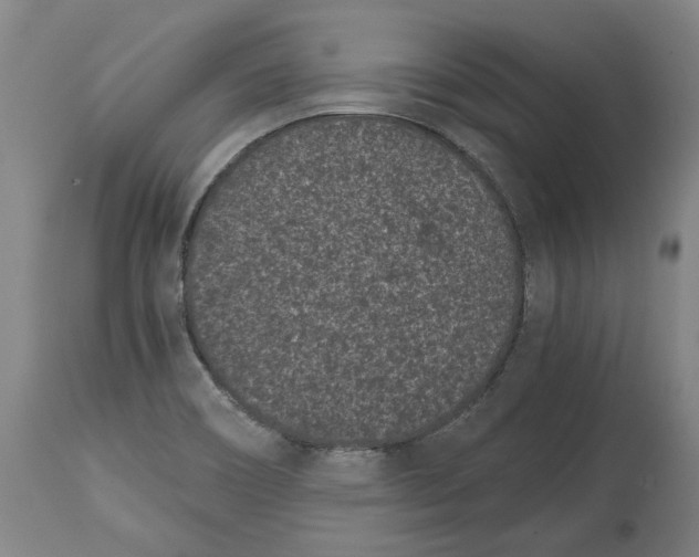 X0000115081466200911171142