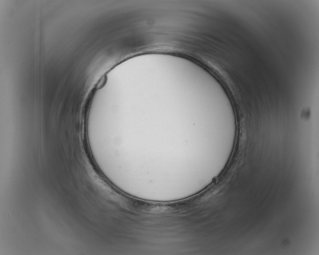 X0000115081467200911171142