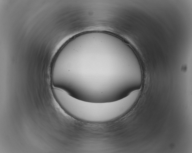 X0000115081468200911171142