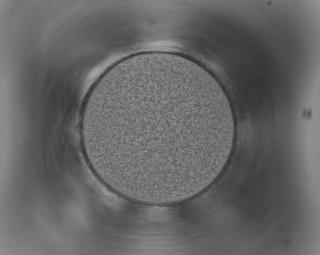 X0000115081470200911171142