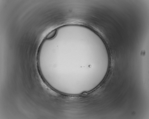 X0000115081471200911171142