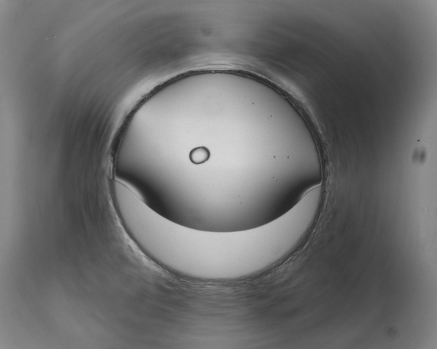 X0000115081472200911171142