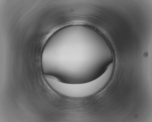 X0000115081473200911171142