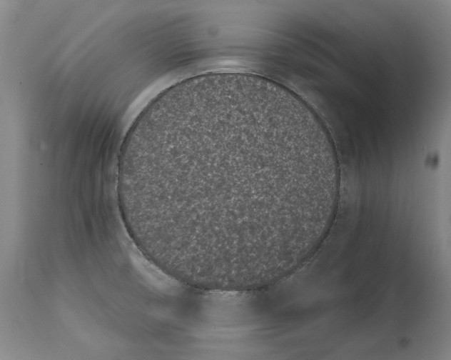 X0000115081474200911171142