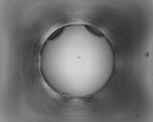 X0000115081476200911171142