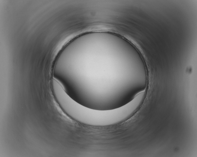 X0000115081477200911171142