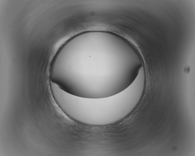 X0000115081480200911171141
