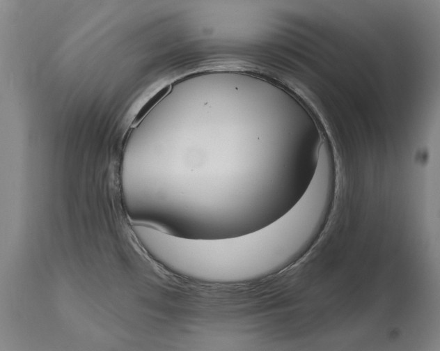 X0000115081481200911171141