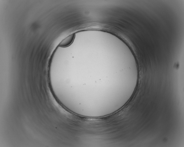 X0000115081483200911171141
