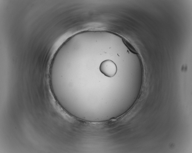 X0000115081488200911171141
