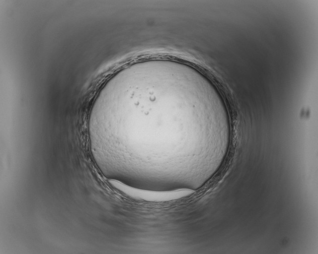 X0000115081494200911171141