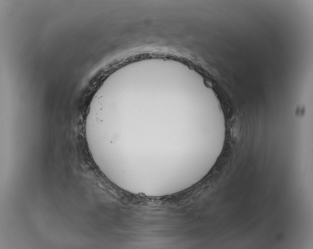 X0000115081495200911171141