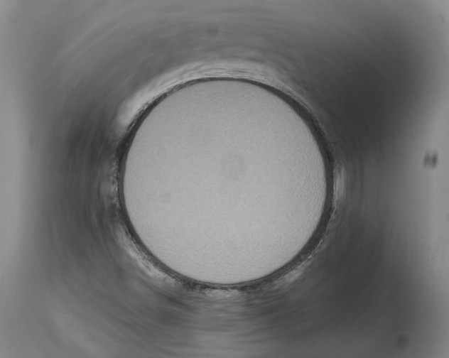 X0000115081498200911171141