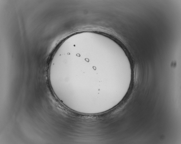 X0000115081501200911171141