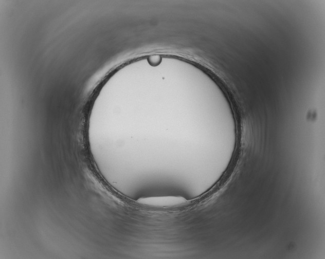 X0000115081502200911171141