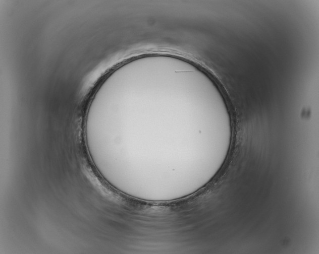 X0000115081503200911171141