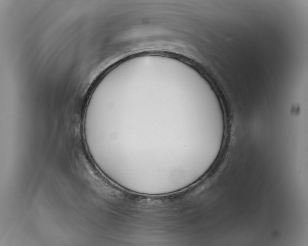 X0000115081505200911171141
