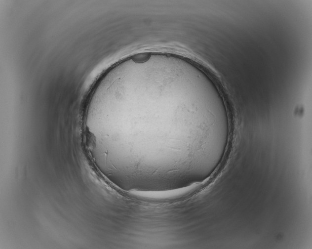 X0000115081506200911171141