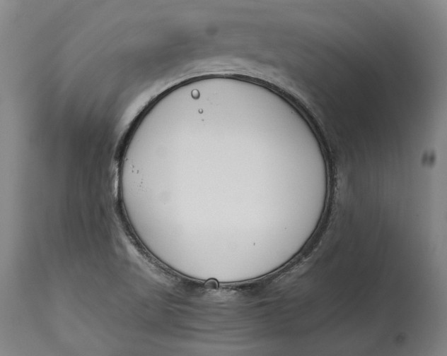 X0000115081509200911171141