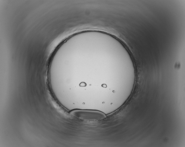 X0000115081511200911171141
