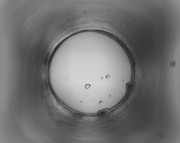 X0000115081513200911171141