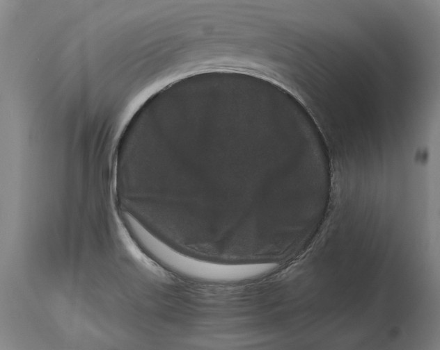 X0000115081515200911171141