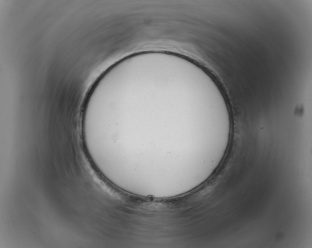 X0000115081517200911171141