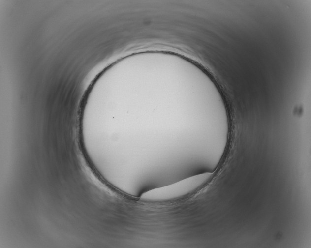 X0000115081518200911171141