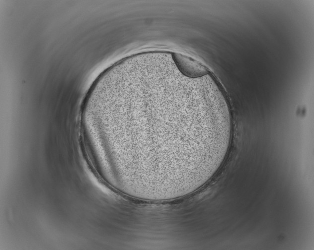 X0000115081519200911171141
