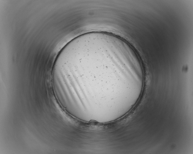 X0000115081521200911171141