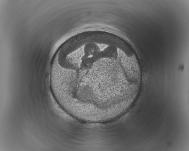 X0000115081522200911171141