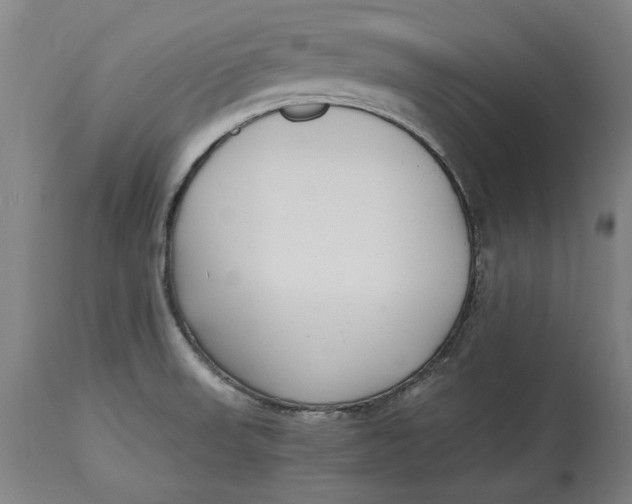 X0000115081523200911171141
