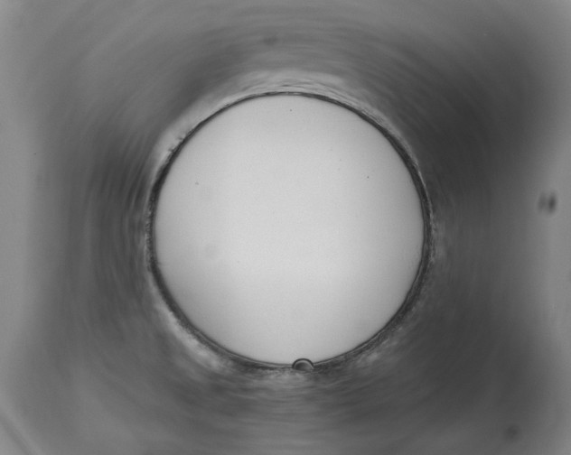 X0000115081525200911171141