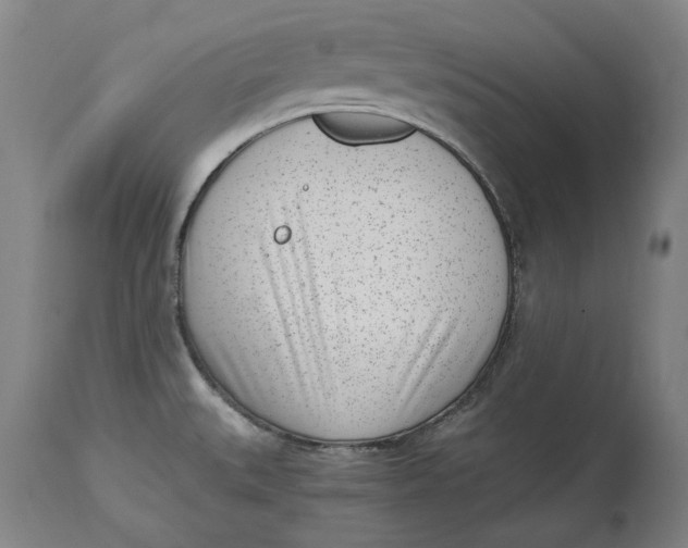 X0000115081527200911171141