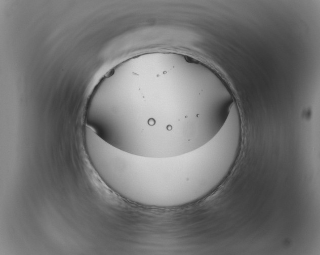 X0000115081530200911171141