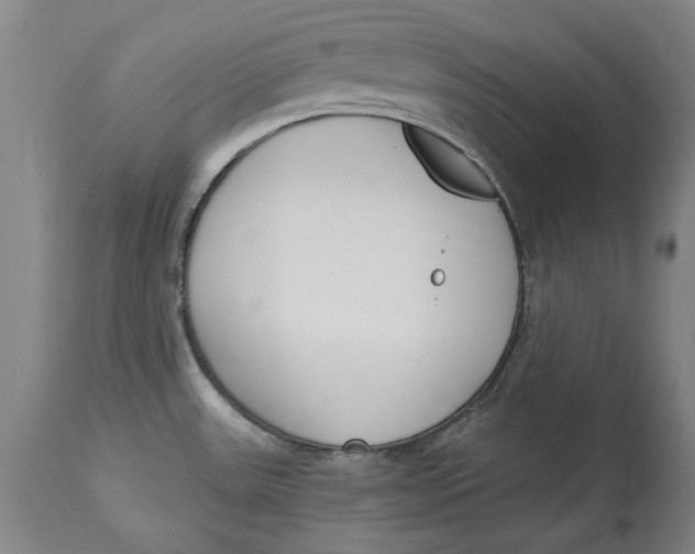 X0000115081531200911171141