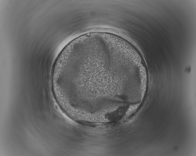 X0000115081533200911171141