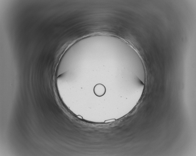 X0000115080001200911241151