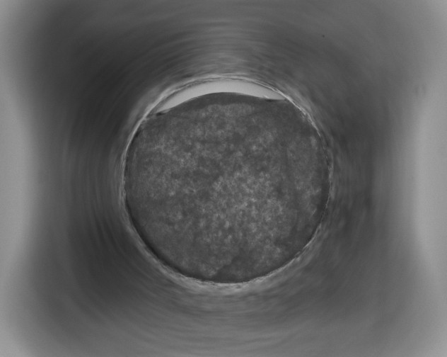 X0000115080002200911241151