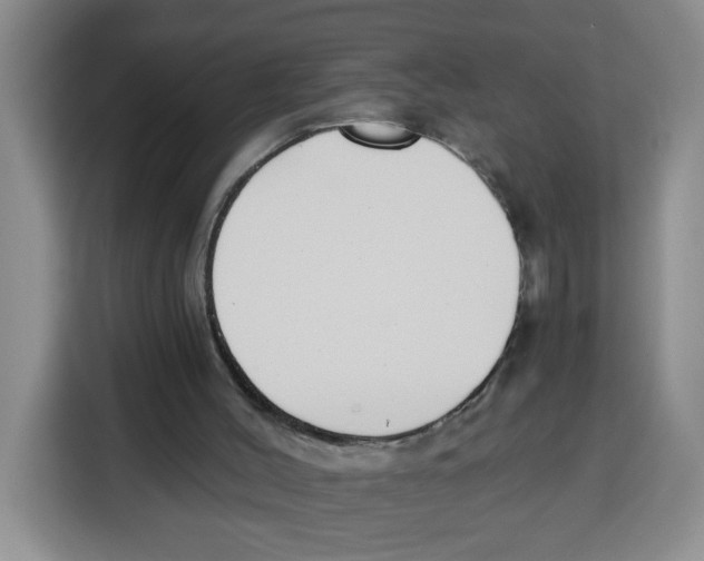 X0000115080004200911241151