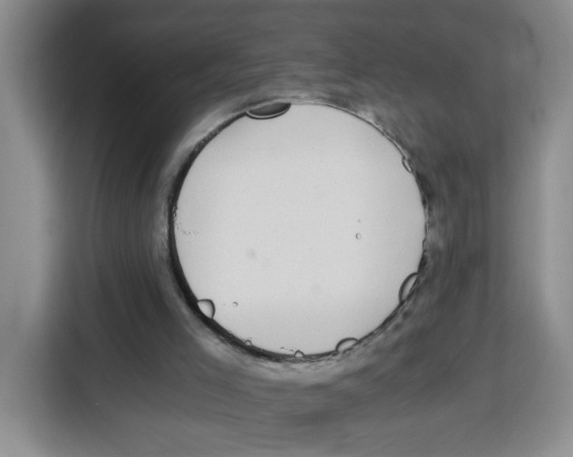 X0000115080005200911241151